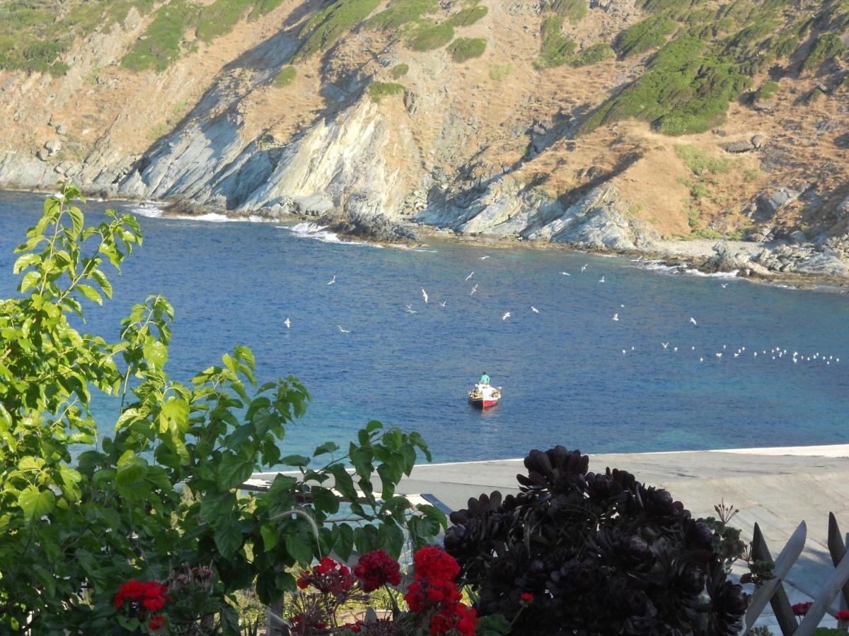 Bel Mare Otel Agioi Apostoloi  Dış mekan fotoğraf