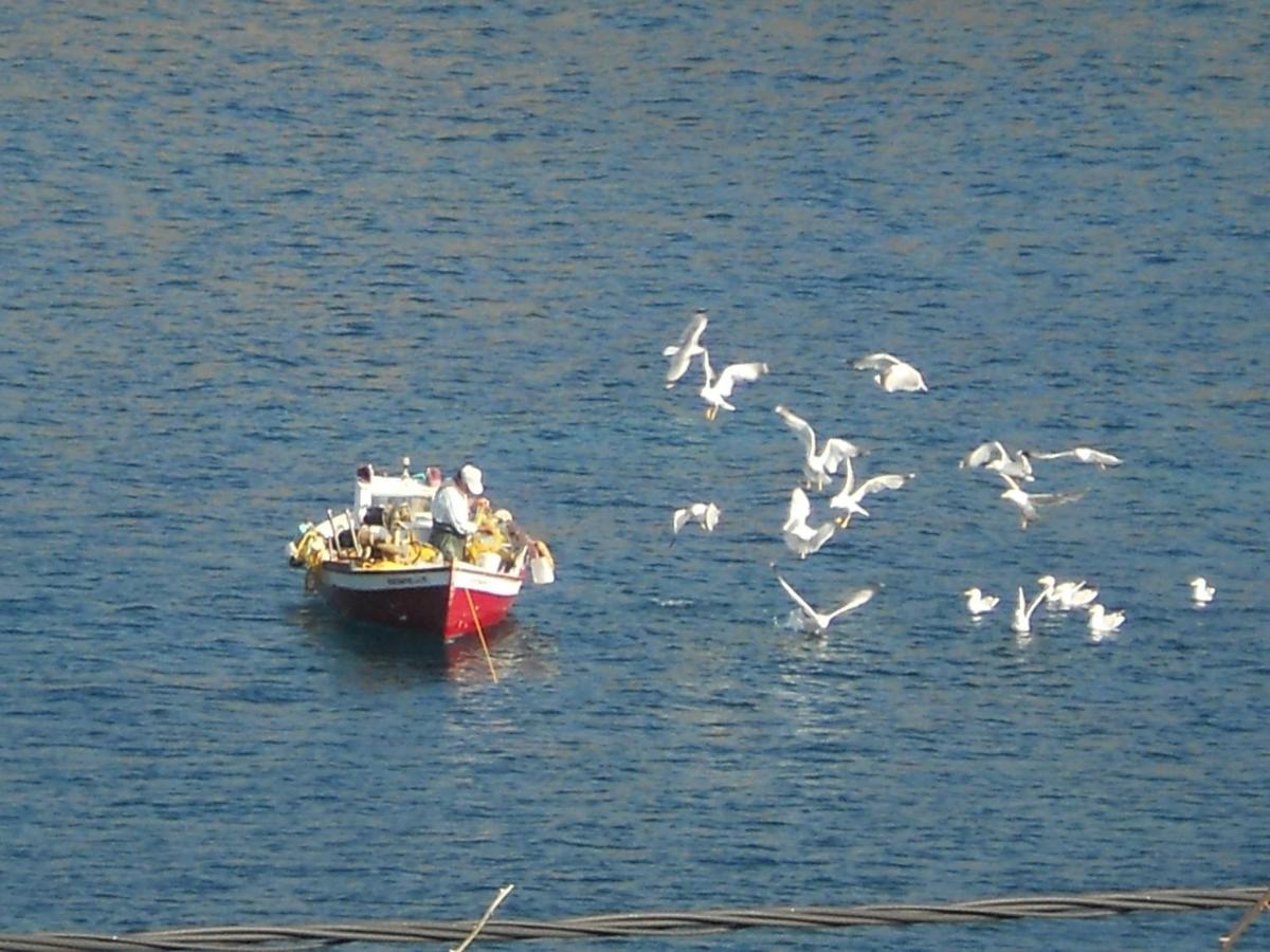 Bel Mare Otel Agioi Apostoloi  Dış mekan fotoğraf